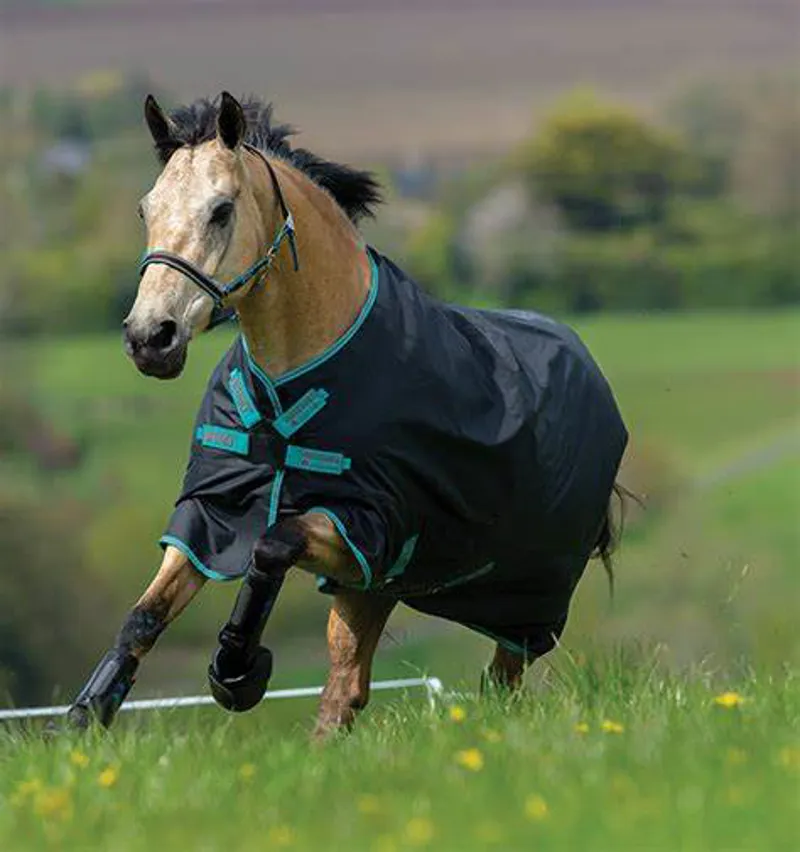 Horseware Amigo Hero ACY Lite Turnout Rug with Disc Front - Black/Teal/Dark Cherry